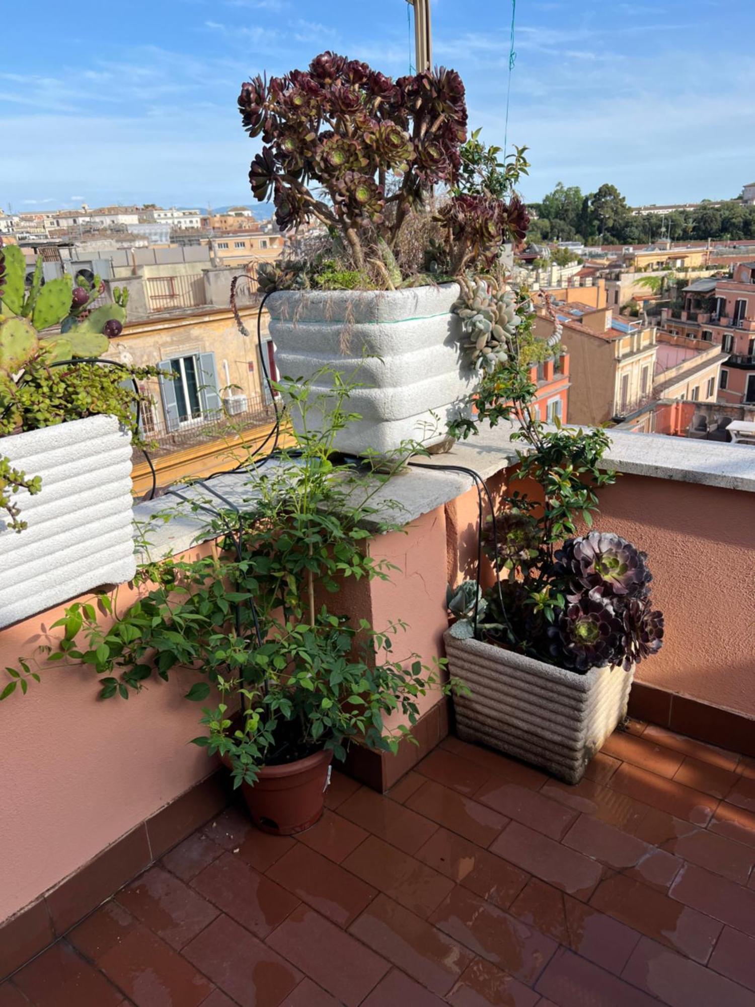 Spanish Steps Rome View Apartment Exterior photo